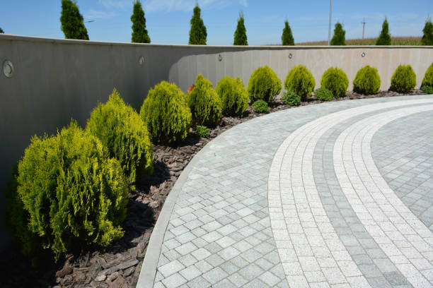 Best Residential Paver Driveway  in Gassville, AR
